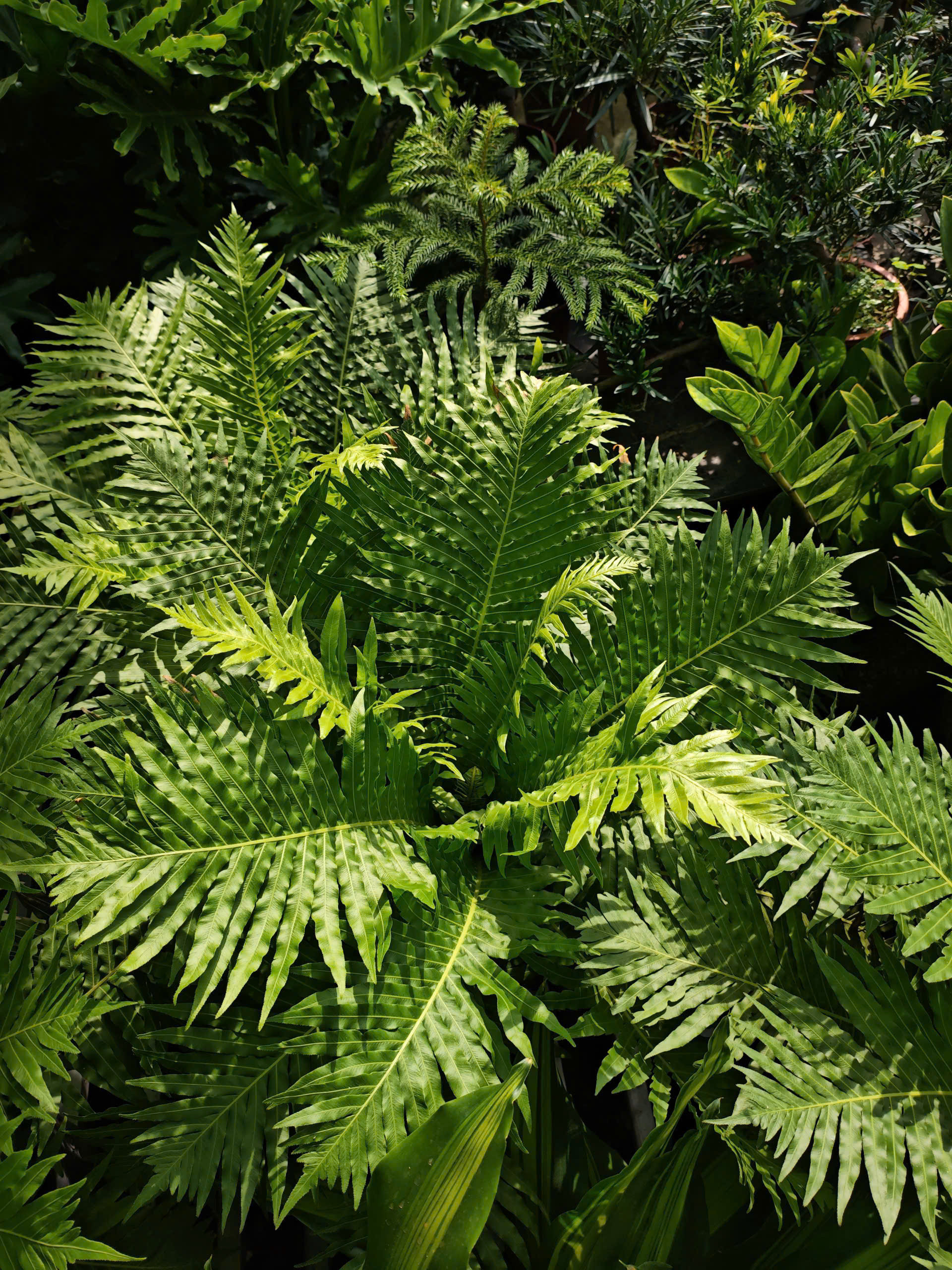 z7400559828167-ee0c0bb2d8987007bd7a4ecd6ef9b3db