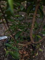 z7400559845602-f46981c156cdd33ebbadfe72b5796a5d