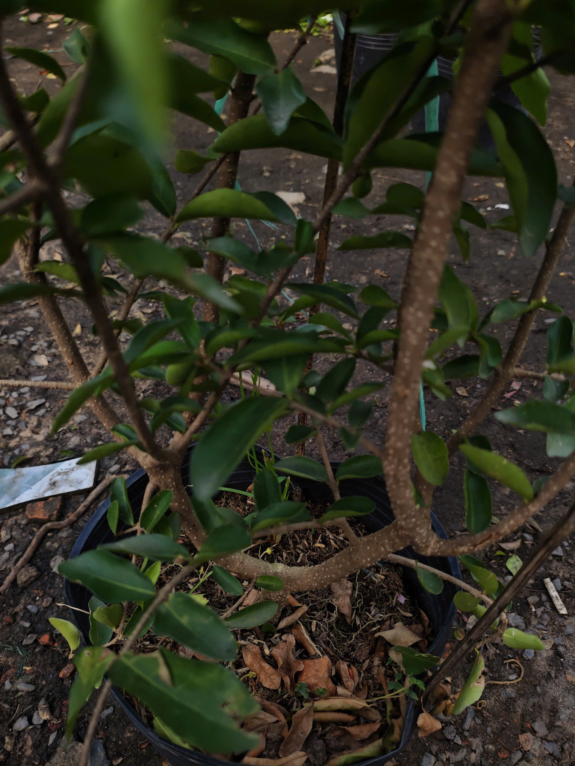 z7400559845602-f46981c156cdd33ebbadfe72b5796a5d