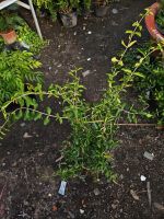 z7400559855380-0128afb80da8e56d928474d76dfd5478