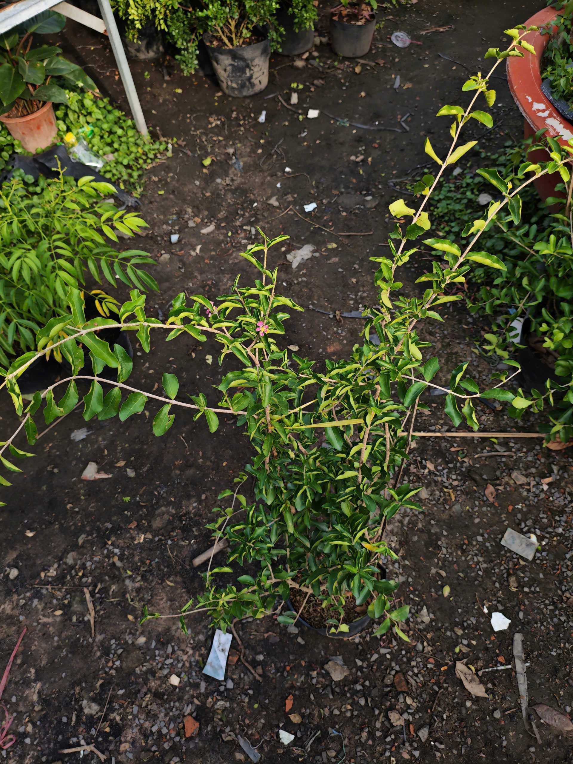 z7400559855380-0128afb80da8e56d928474d76dfd5478