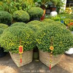 z7401219399823-85794b97978fcd913919c73892d488b7