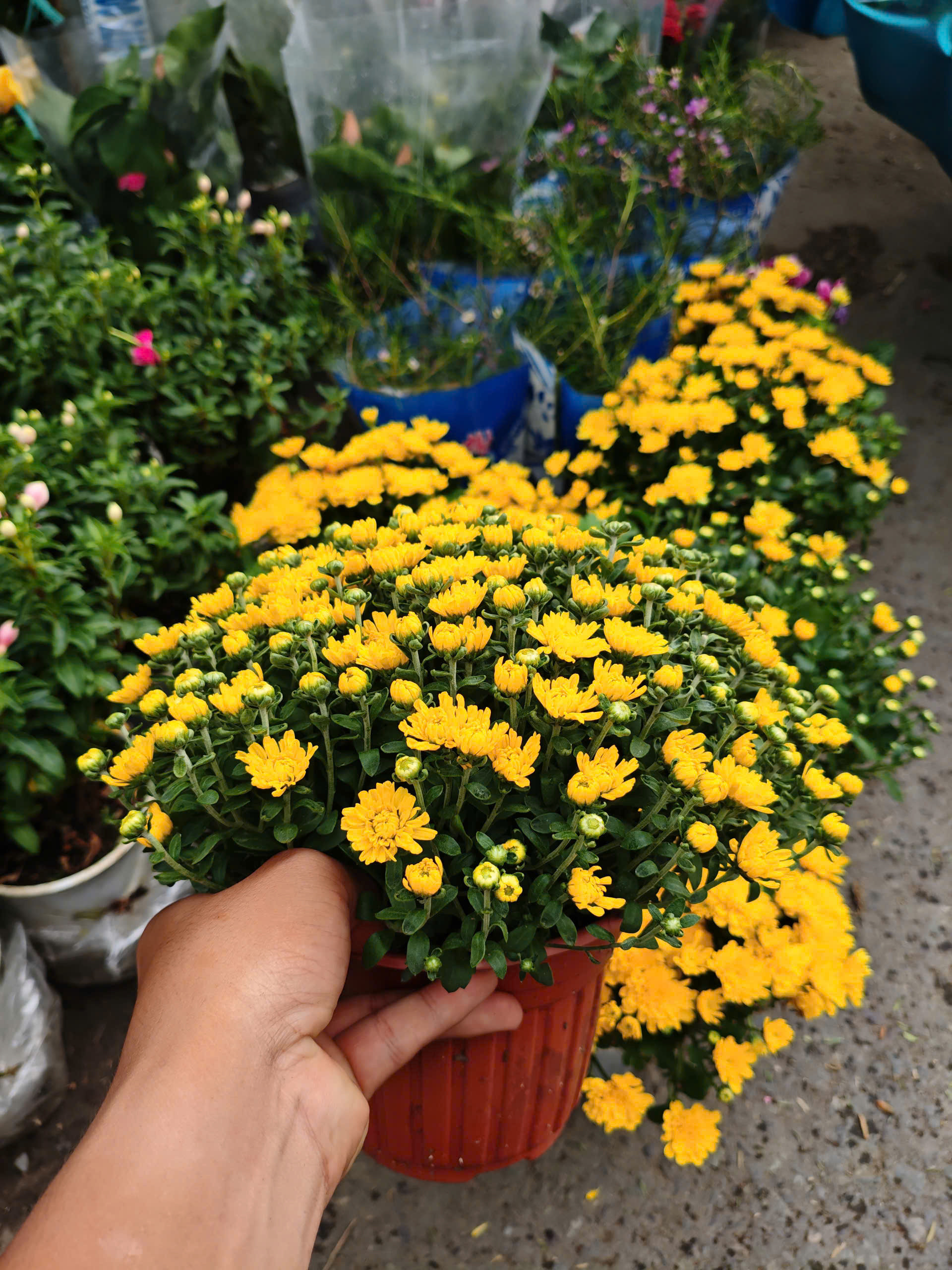 z7402313485822-c2ed0a2d515290e17524ddd2cc788313