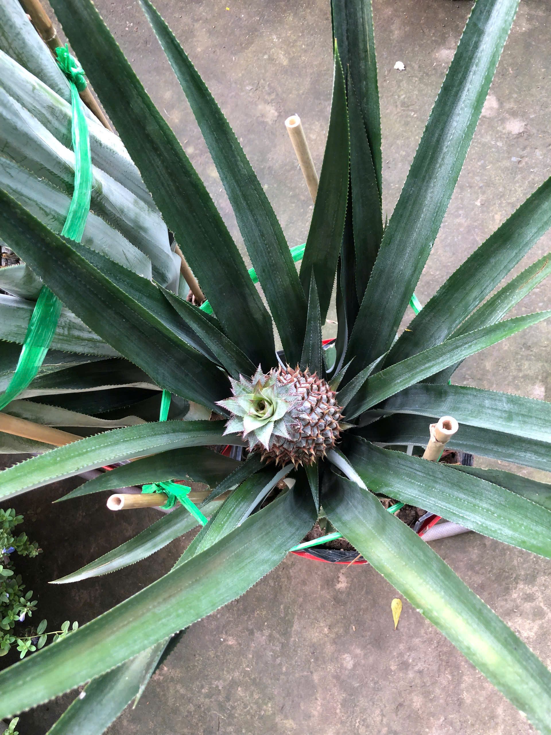 z7405289635465-3117fc49ce4915090a46fb75b93b0380