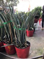 z7405289648979-dafcaec2390609551820d8d0cdd1df2b