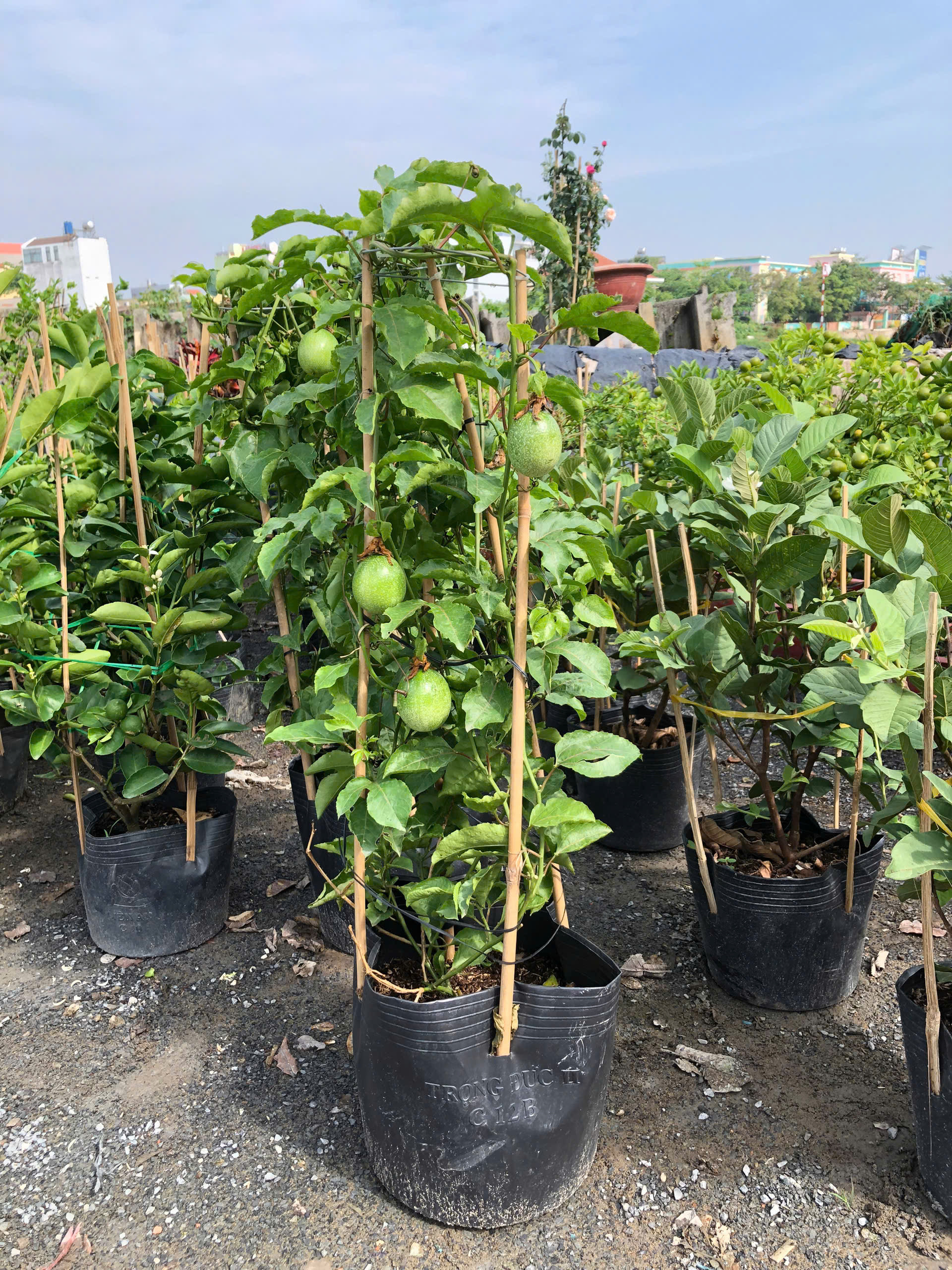 z7405336677328-c6451766fed8d5085f958d9d3675a14d