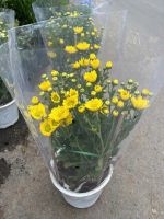 z7417190831107-dd077b68daf0517343ad338c8a47e6ce