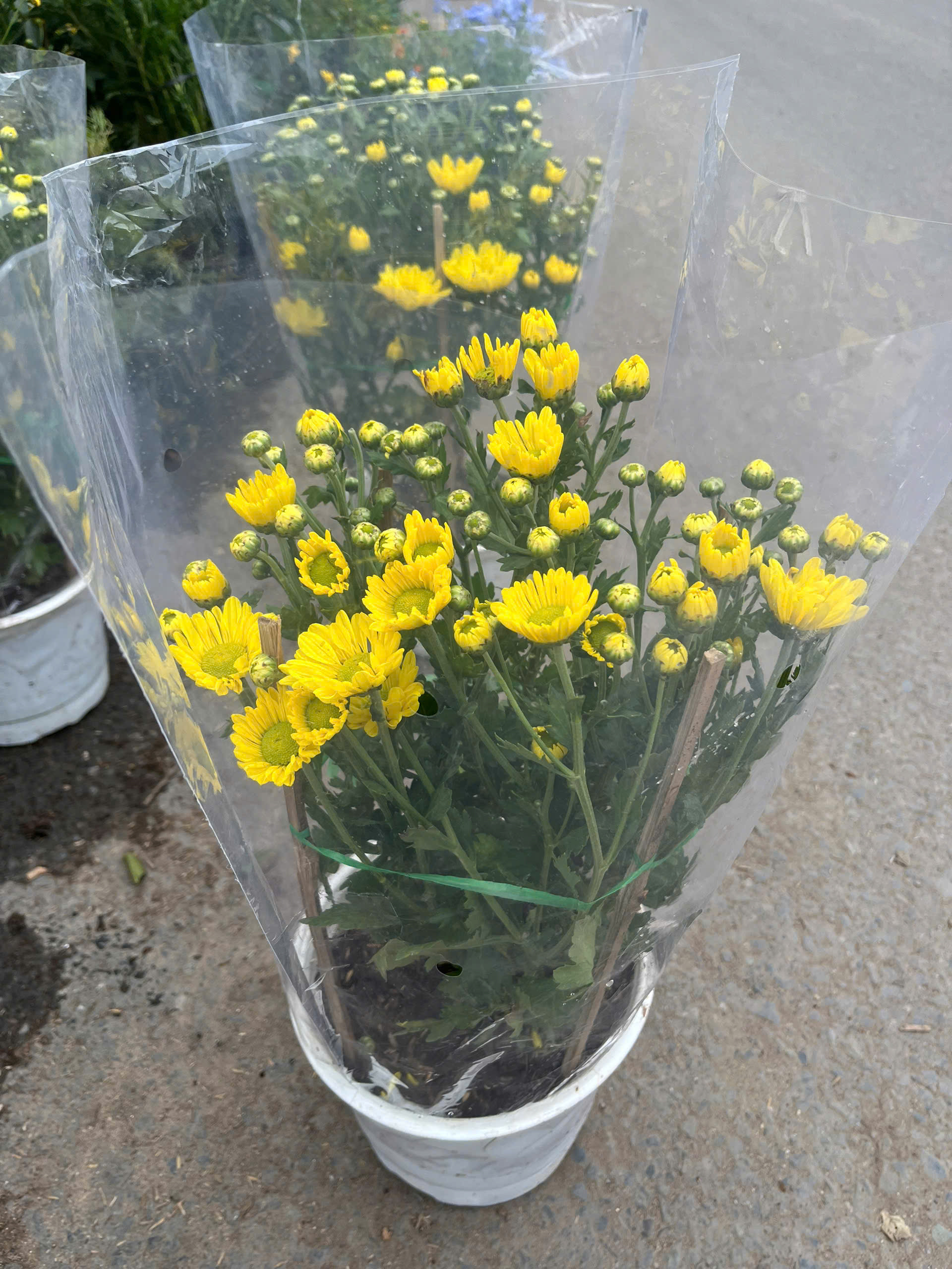 z7417190831107-dd077b68daf0517343ad338c8a47e6ce