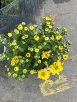 z7417190835611-35cd593343d069728aaa88996e3ca32a