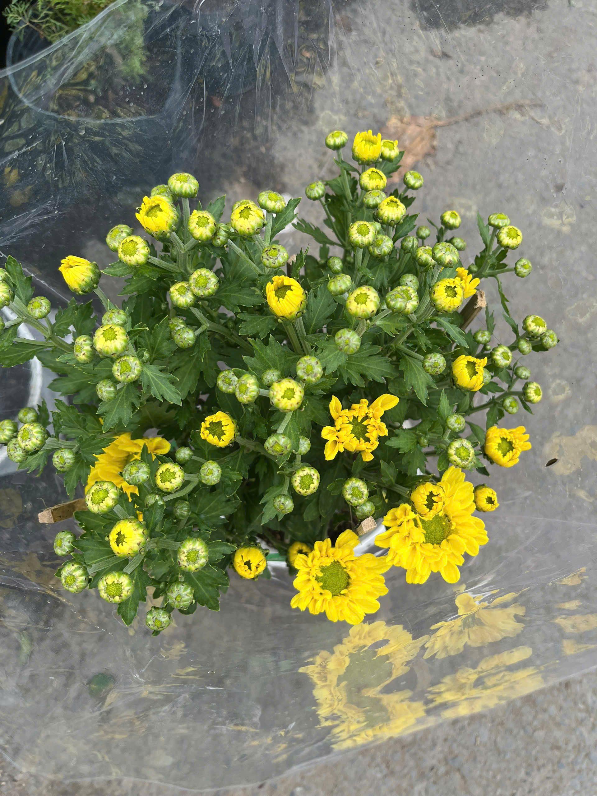 z7417190835611-35cd593343d069728aaa88996e3ca32a