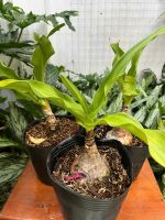 z7417319192077-edaf6652cdc00a72af0ecfb059292e7e