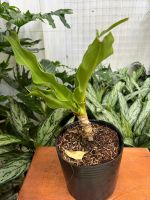 z7417319303541-d5c7d14ef1e3a8c398ba4b71639be187