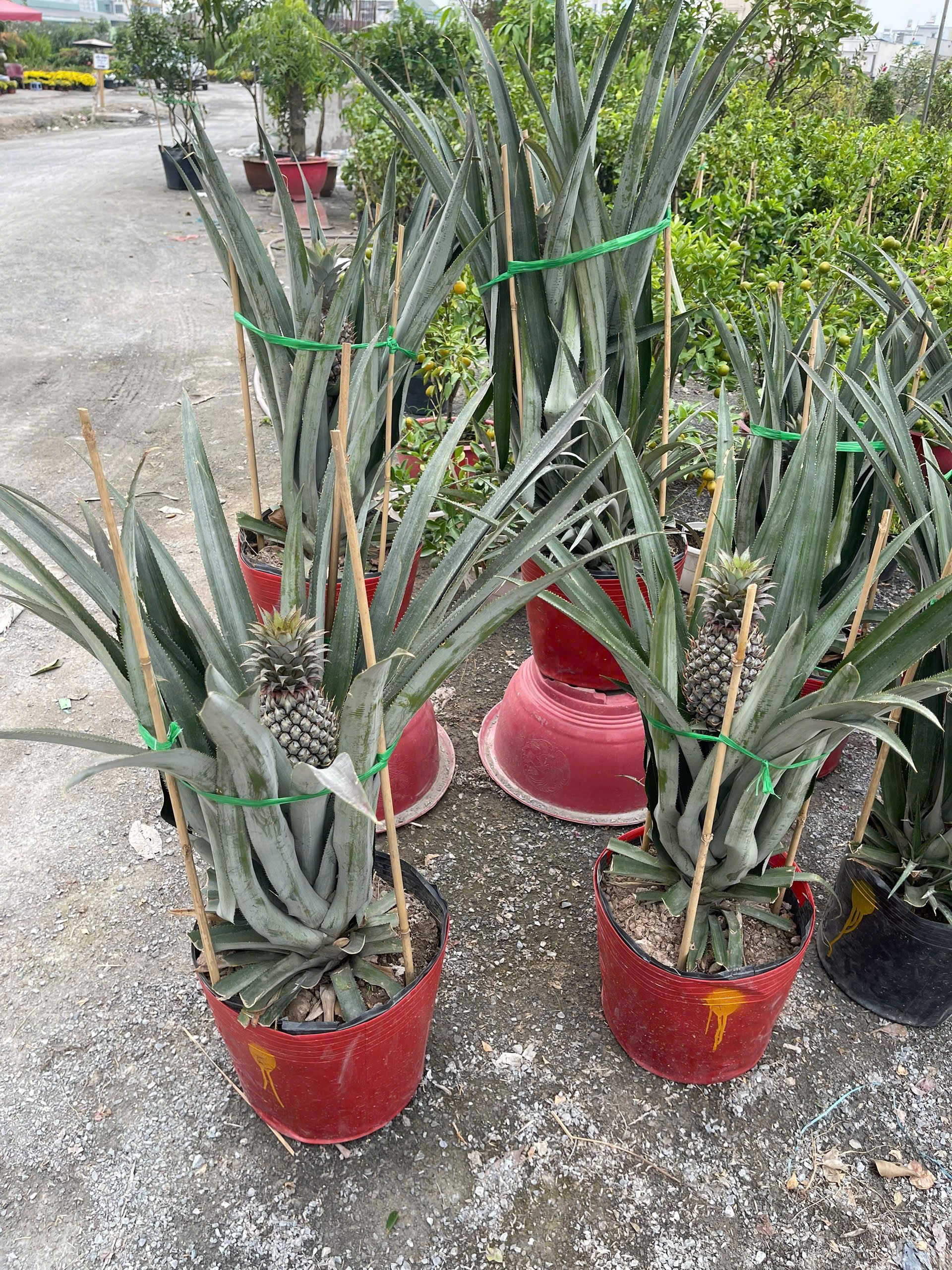 z7425994511649-f7f517a8fb52dc326311000ff91f4128