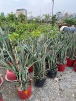 z7425994515218-d5b4cab7797eb70b3a9c3d13b67e3068