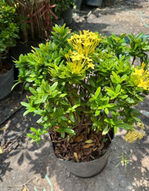 img-0246