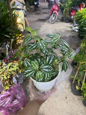 img-0523