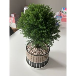 vn-11134207-81ztc-mkwc45a5mpl31a