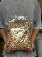 z7456347958113-714ac584f3a554952db10a96a337a7a0