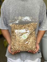 z7456347963418-ba1cd1c368f8b34220ec6dba95319ff8