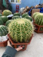 z7524827915668-04a19b6966bdce404595f71072eaf4e2