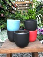 z7579655271637-ffa88bb044a2549457ffba79209ddf7f