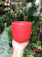 z7579655290523-78ebbd1aaa0ec2c8a765257c10edebe3