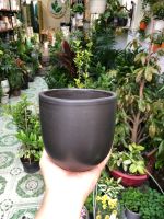 z7579655301171-8cf74a91b698fe55bc7f23fcd52159c7