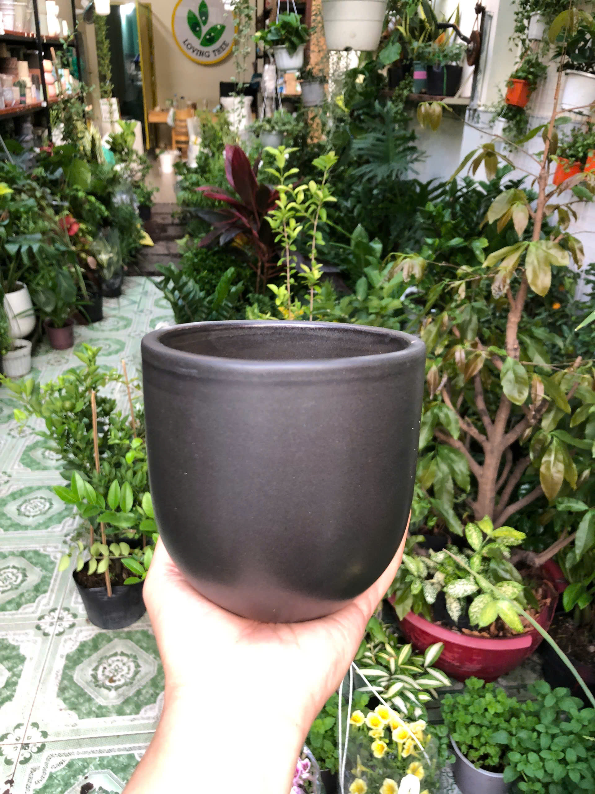 z7579655301171-8cf74a91b698fe55bc7f23fcd52159c7