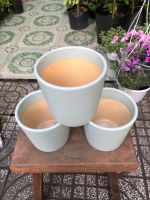 z7579663255458-2d0b4baf4ea37ab3a04fe95fc9379d45