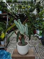 z7581777281624-e78e6788e07d82103c86b687139573e1