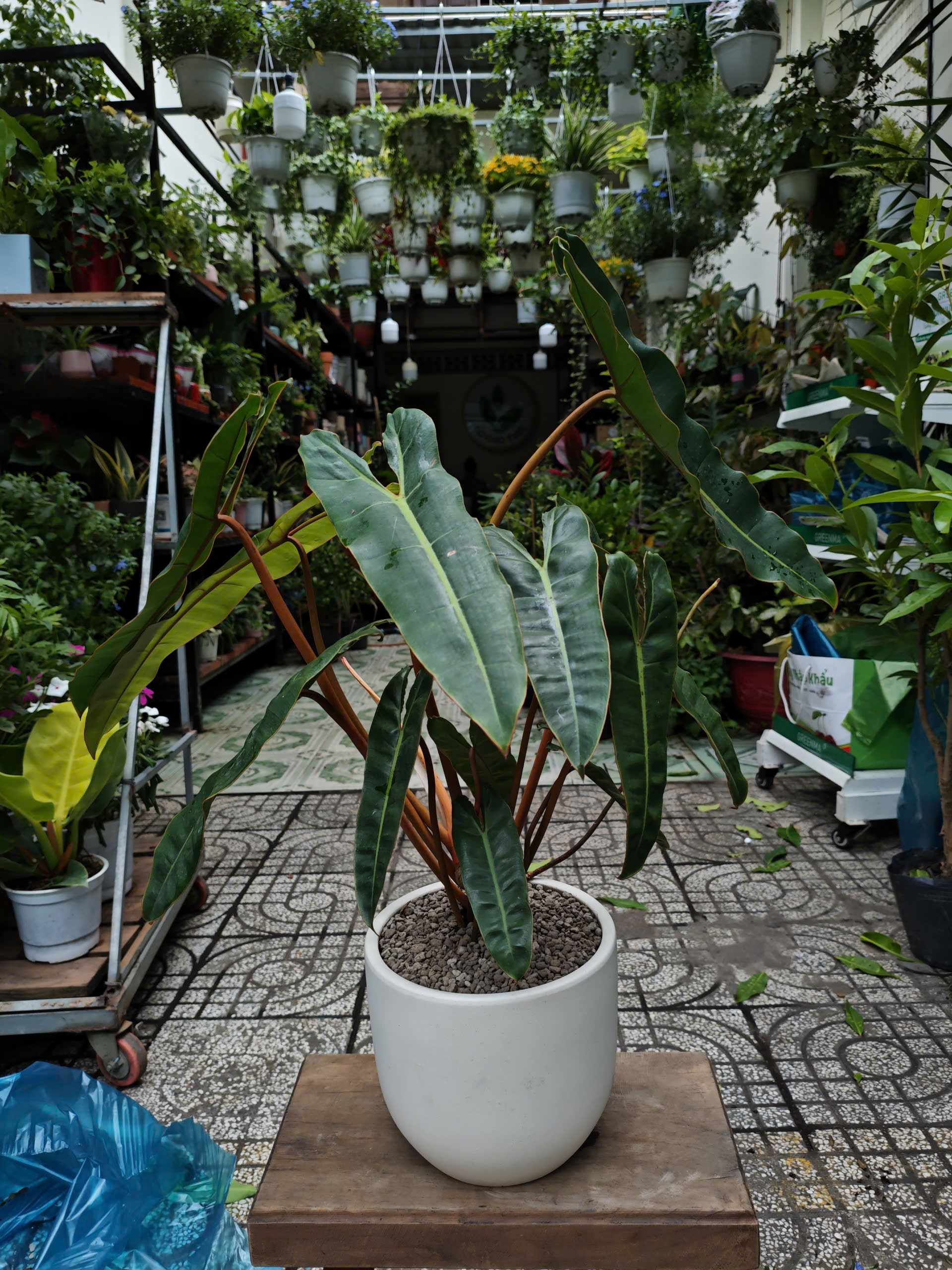 z7581777281624-e78e6788e07d82103c86b687139573e1