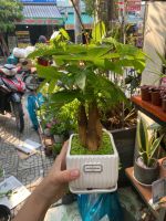 z7582714133824-8a2919eda4d68d1debeefb7545e5d141