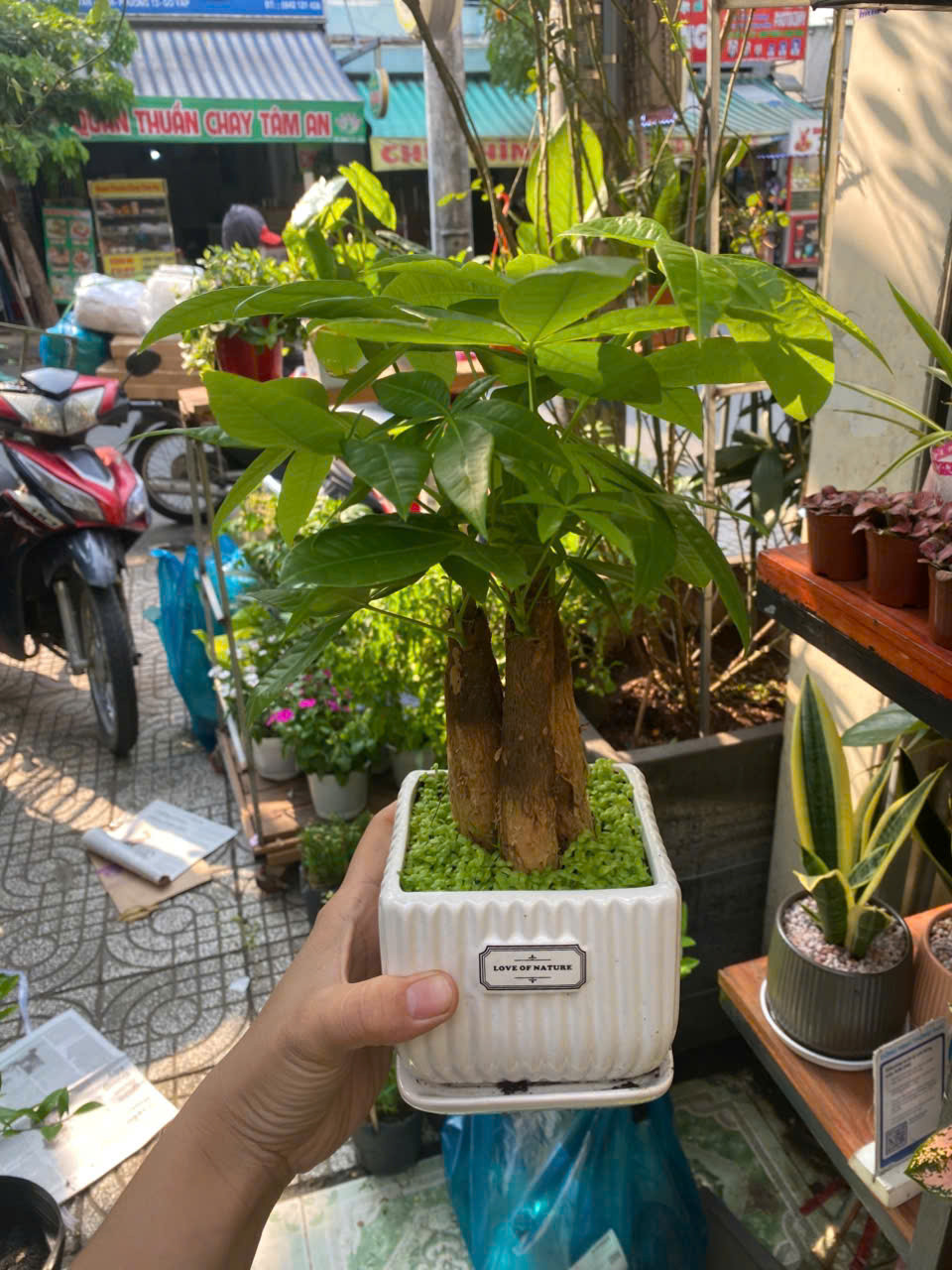 z7582714133824-8a2919eda4d68d1debeefb7545e5d141