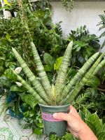 z7592005669967-9460e2ba9226f854fe33e4b07533393c