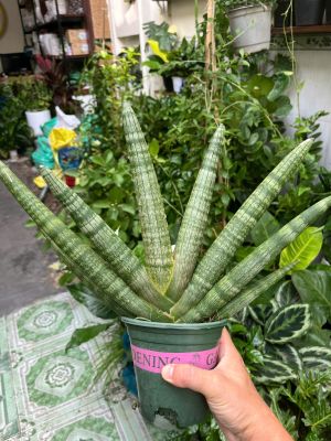 z7592005698967-a1645480ee1496128ecddc634f4bd3fd