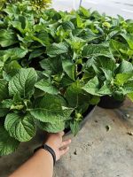 z7641136113977-f29fd9dbb1134b64cc880e763054b86e