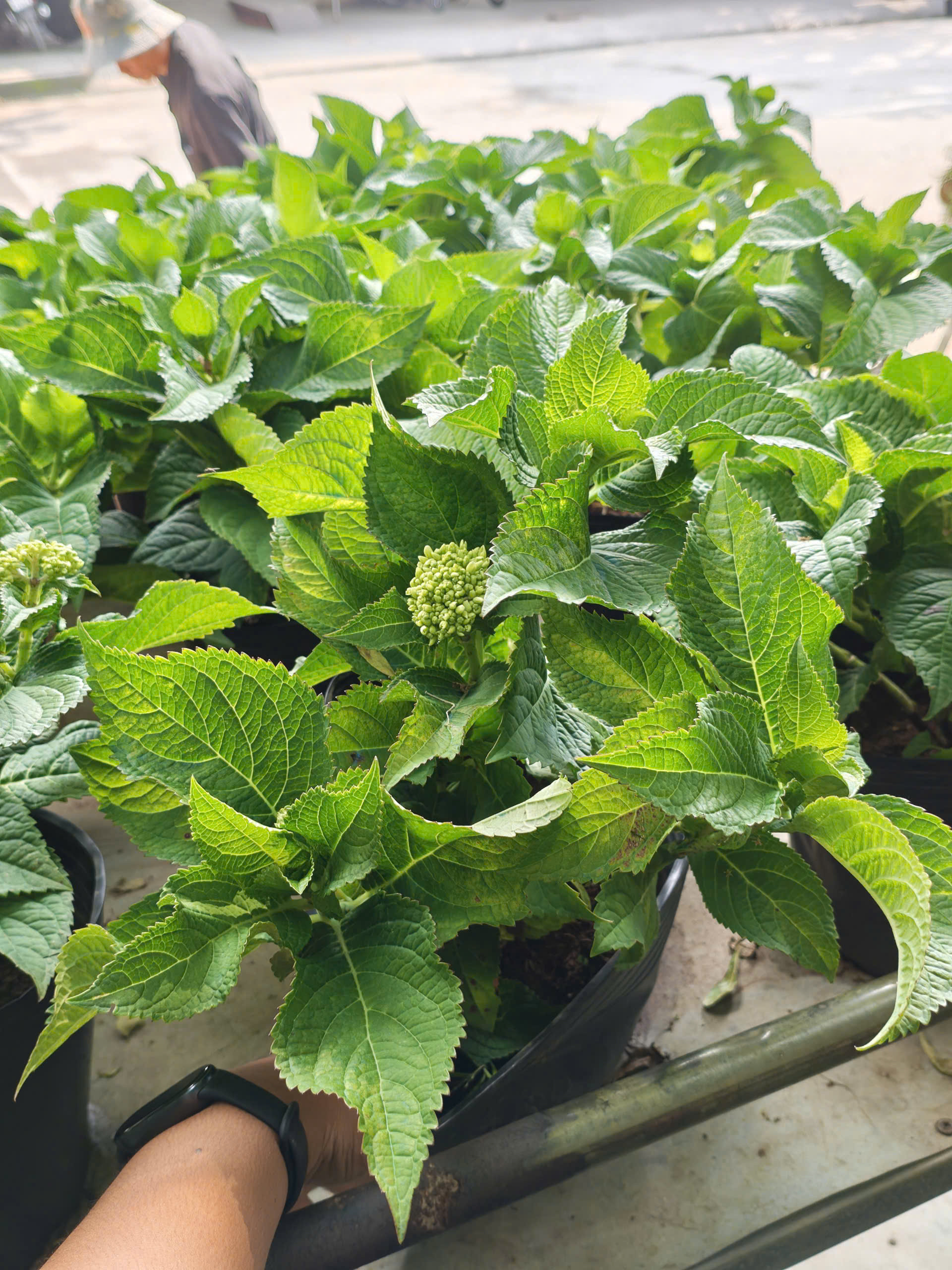 z7641136114257-94b29e5286dfe03f4cac222c40b7f52c