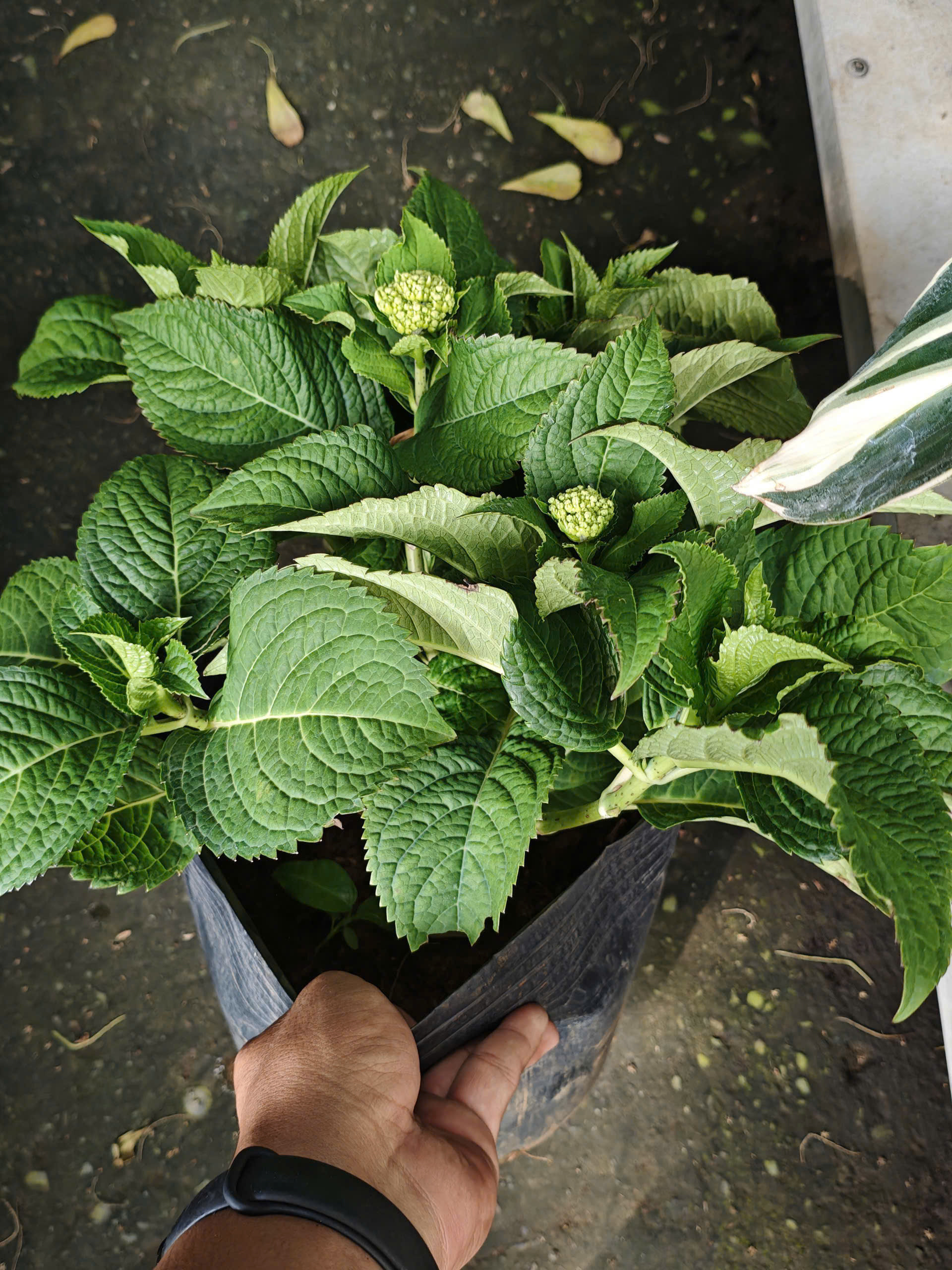 z7641136121704-d33260c9e9031821b8d8e8216f10efdc