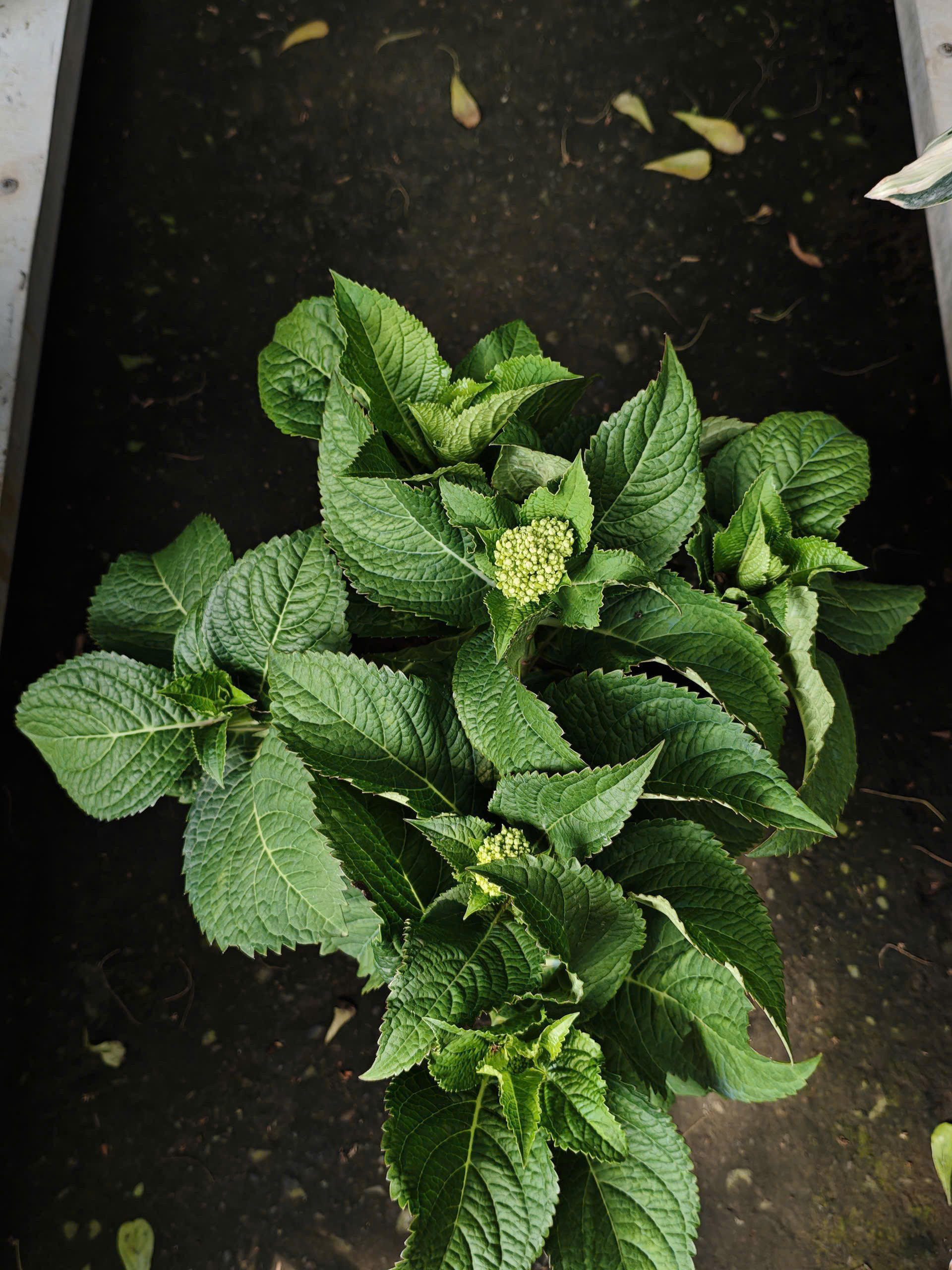 z7641136129497-1cf34037d1555a2198a30009cf83d5ce