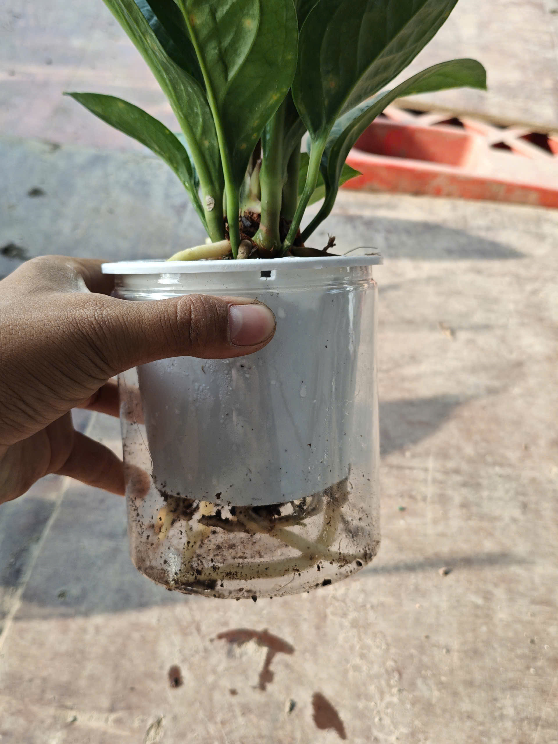 z7641478311632-f8b94c0728ba4397a734cac5b07faed3