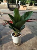 z7641478313894-6d2326f02787b610a69f615c565daff0