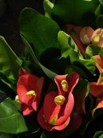 z7641504885461-ef17bc98f37b9e5fde16a5bc515bd6ee