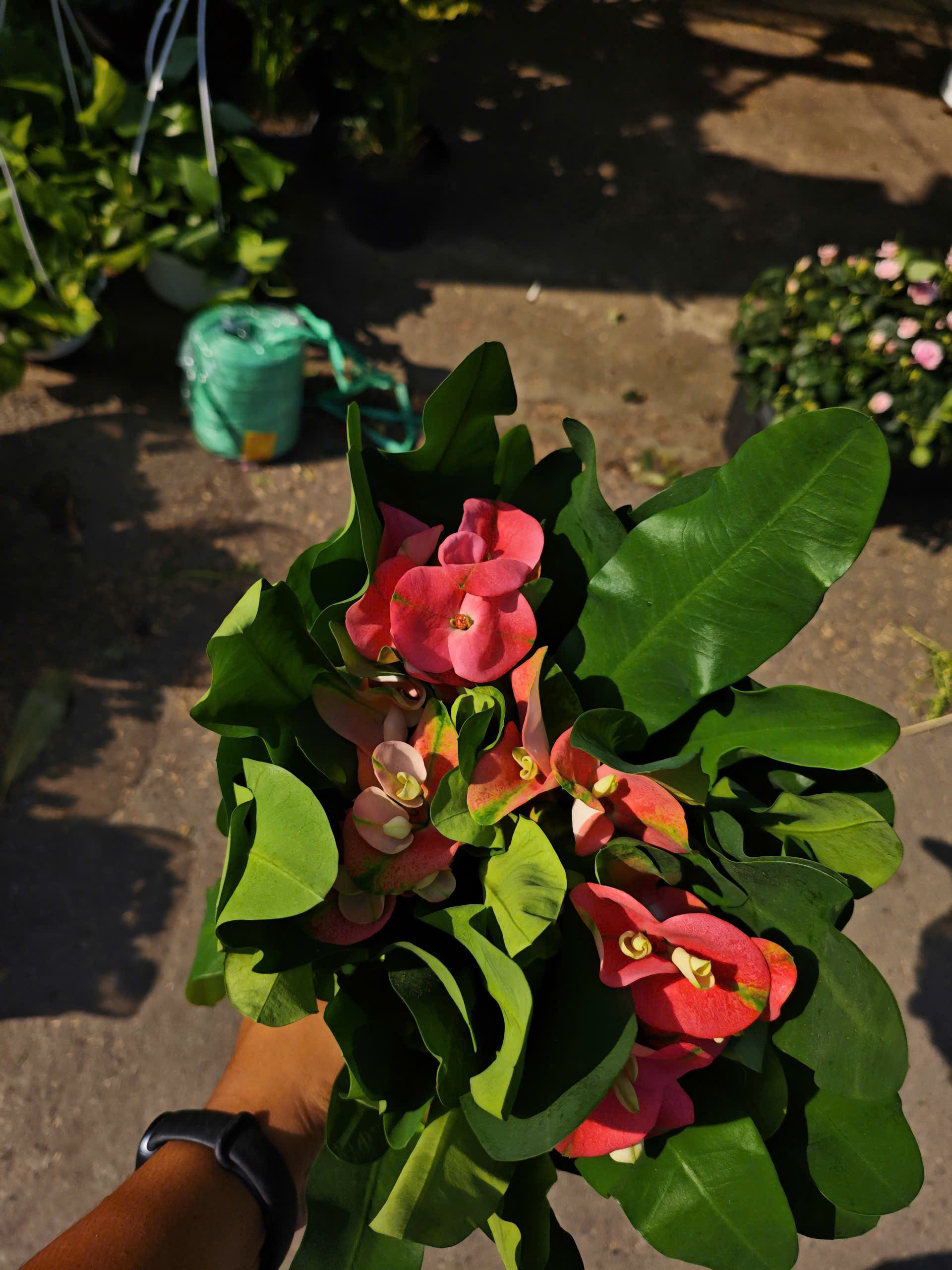 z7641504890278-b539ac22b0eda762734826b2ae527a87