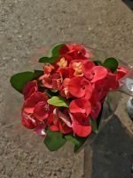 z7641504892989-5df1c89df775710a2d33dff5902fbdc9