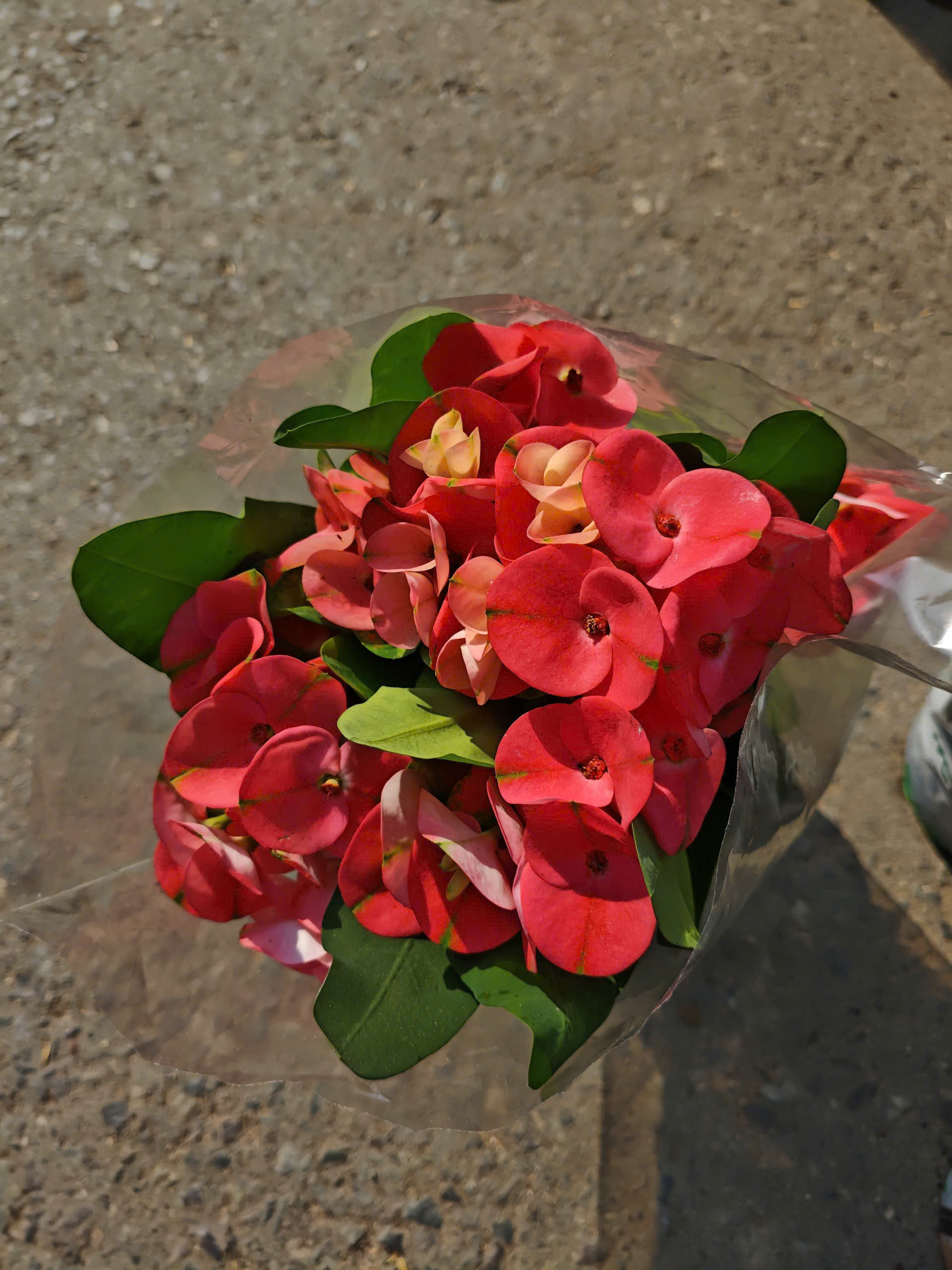 z7641504892989-5df1c89df775710a2d33dff5902fbdc9