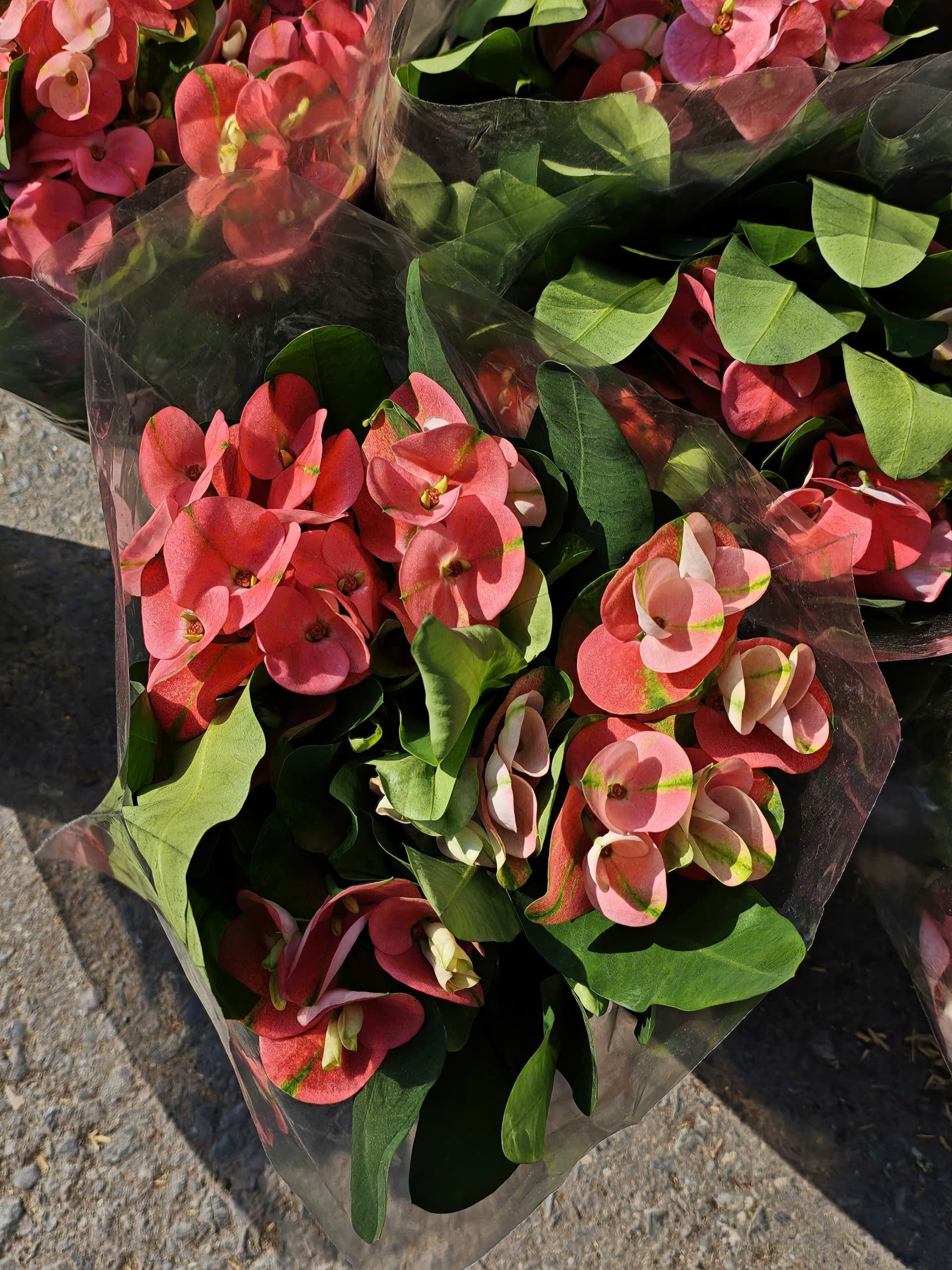 z7641504896873-74fdf49713eb46f0f7a75794e80425cd