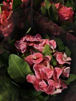 z7641504906333-97d2e3f76d8880069c2a4f114dca1b6c