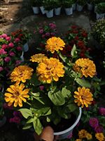 z7641511269881-e98a1d29d1c5b54081e584e96a7c8c38