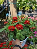 z7641511274699-3517eca6305dc197b4101bda379cd188