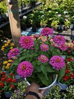 z7641511277976-a6adcbe5fea3ccd77bd849846d99aef5